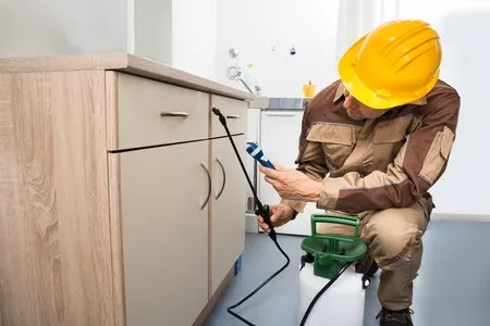 Eagle Pass Pest Control Pros in Eagle Pass, TX — business photo 3
