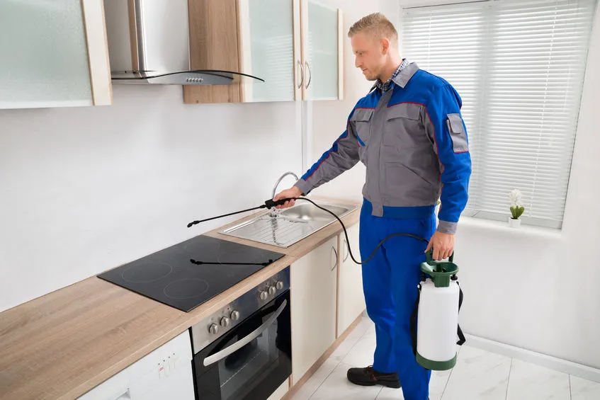 Eagle Pass Pest Control Pros in Eagle Pass, TX — business photo 5
