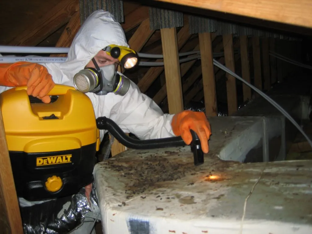 Eagle Pass Pest Control Pros in Eagle Pass, TX — business photo 6