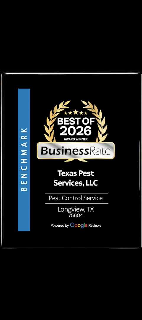 Texas Pest Services, LLC in Longview, TX — business photo 2
