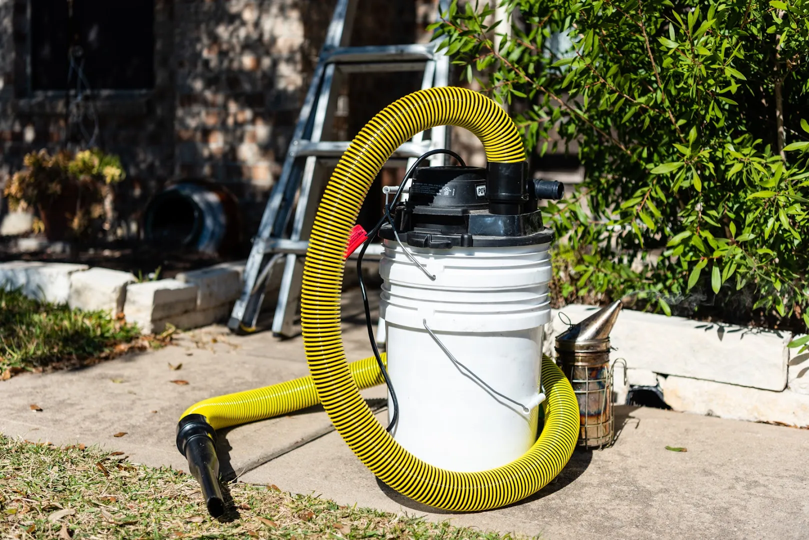 Bee'n Green in Angleton, TX — business photo 4
