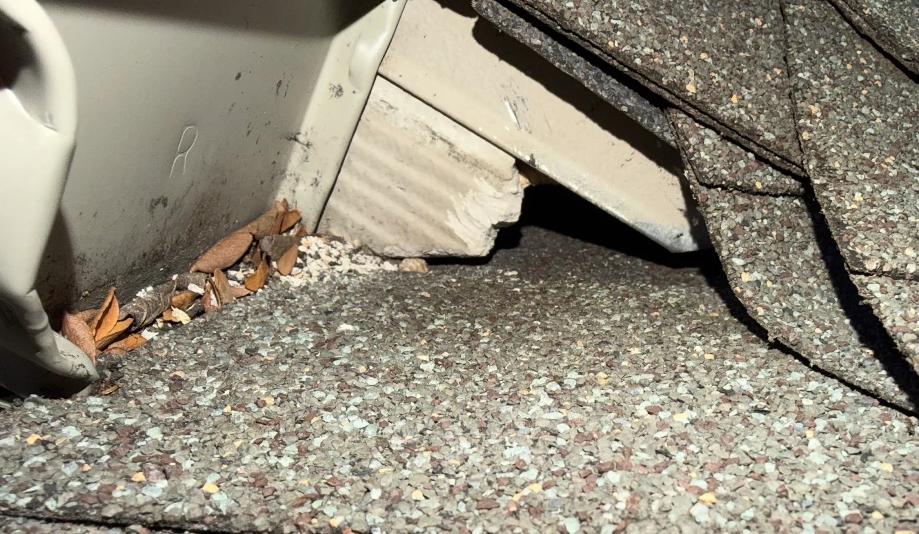 Ivy Green Pest Control in Denton, TX — business photo 6