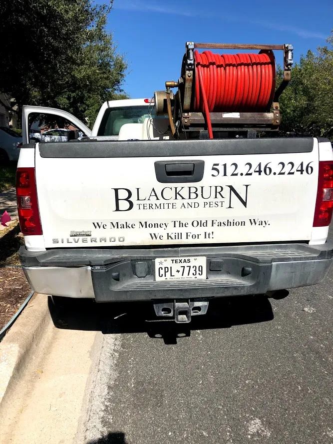 BLACKBURN TERMITE & PEST in Austin, TX — business photo 2