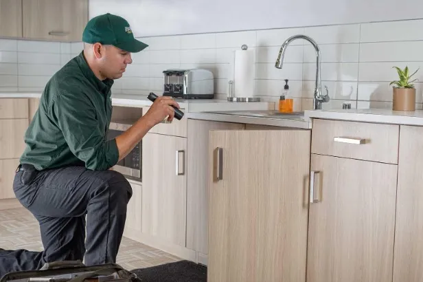 Plunkett's Pest Control in Lubbock, TX — business photo 4