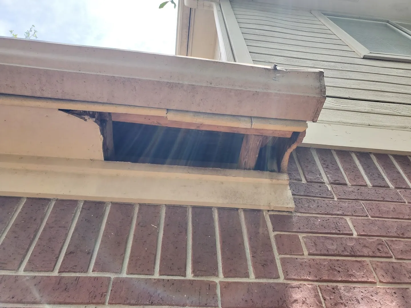 North America Pest and Termite LLC in Houston, TX — business photo 3