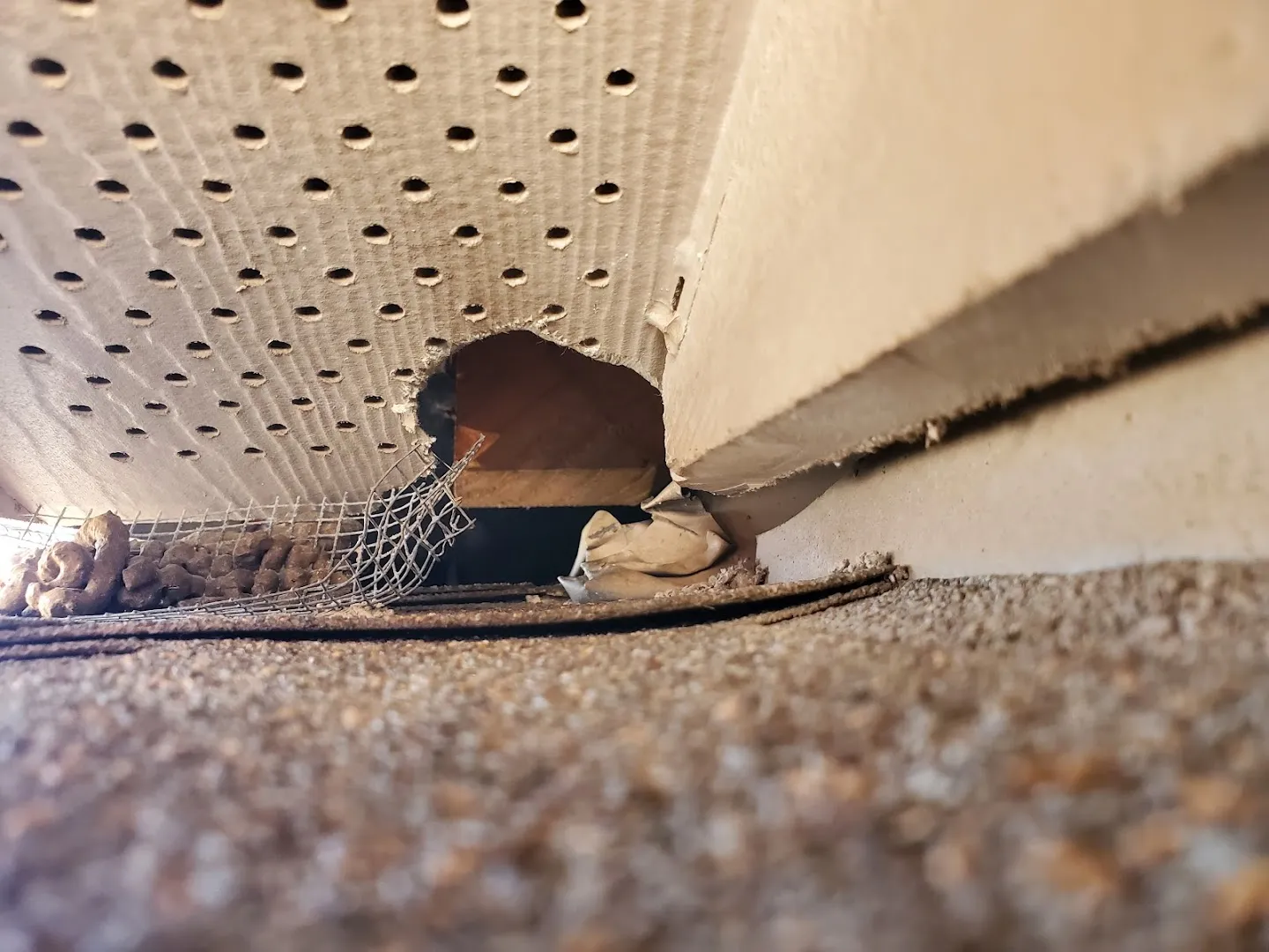 North America Pest and Termite LLC in Houston, TX — business photo 6