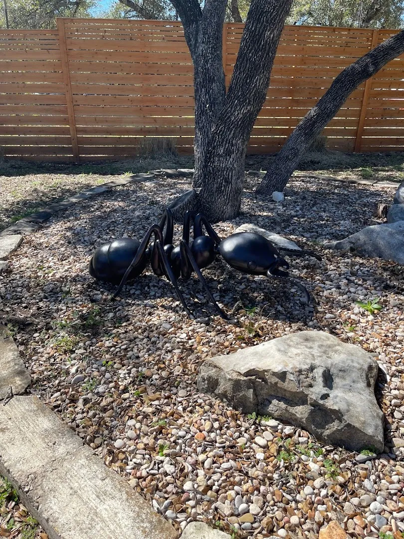 North Shore Pest Control in Georgetown, TX — business photo 5