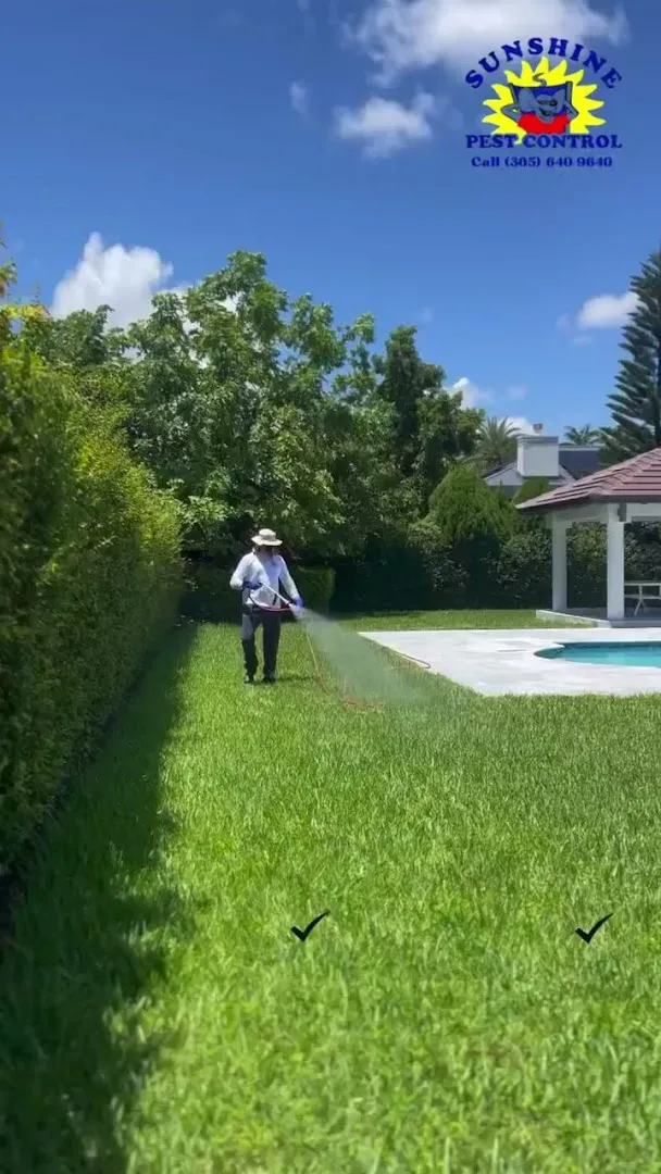 Sunshine Pest Control in Houston, TX — business photo 5