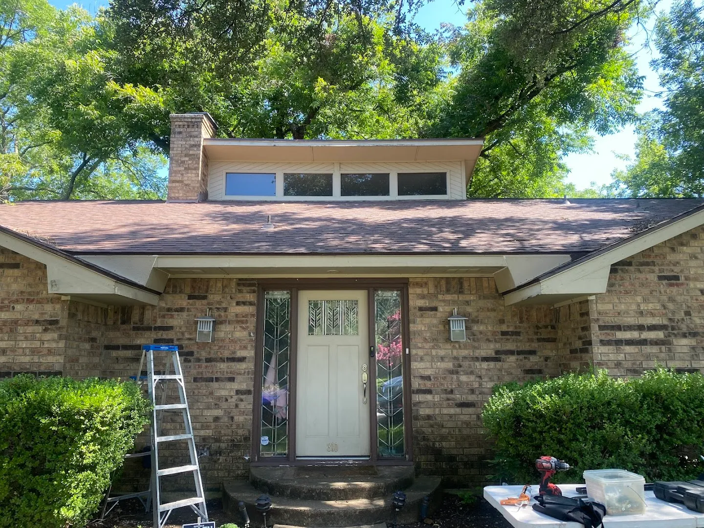 Pest Gurus in Dallas, TX — business photo 3