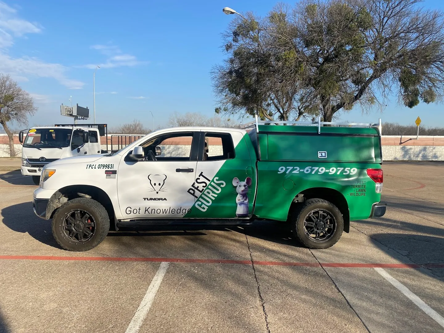 Pest Gurus in Dallas, TX — business photo 5