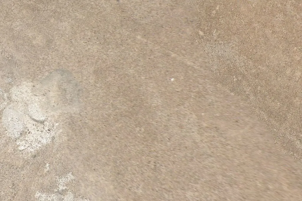 ProShield Pest Services — pest control in Edinburg, HIDALGO County, TX