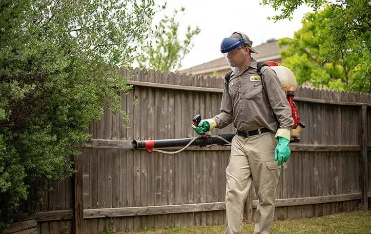 Family Pest Control — pest control in San Antonio, BEXAR County, TX