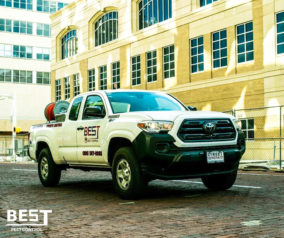 Best Pest Control in El Paso, TX — business photo 2