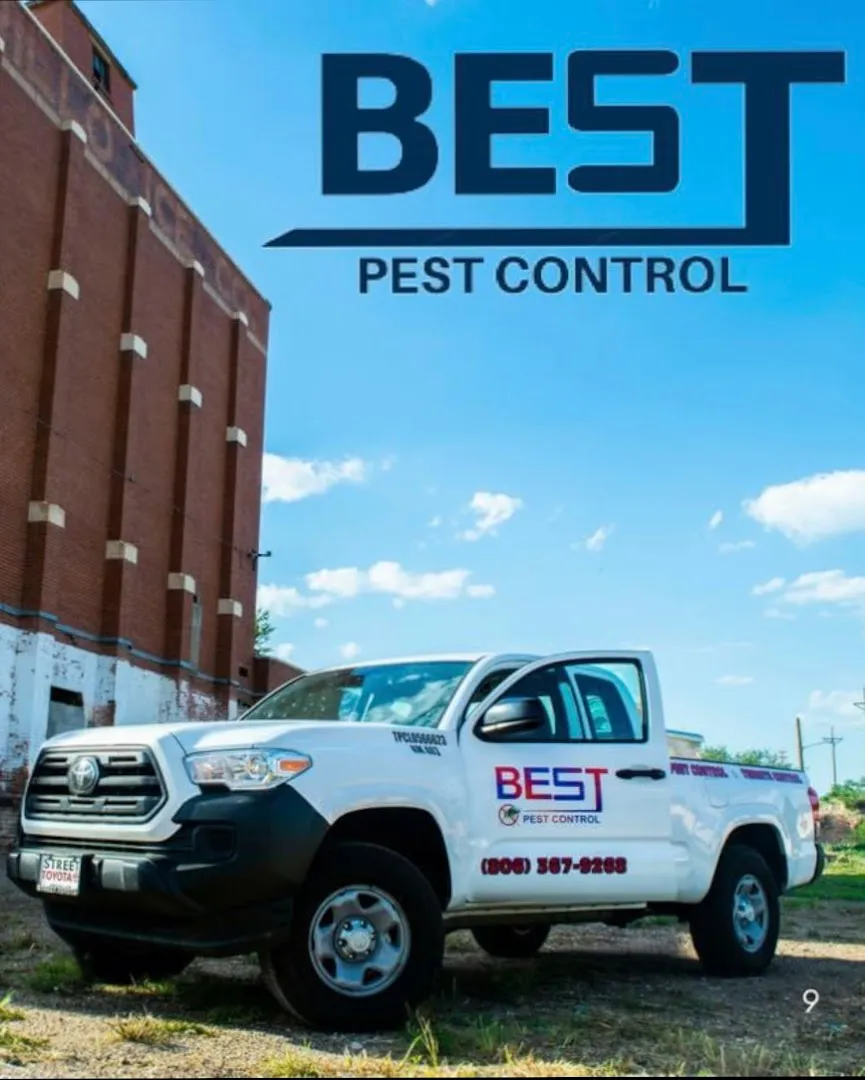 Best Pest Control in El Paso, TX — business photo 5