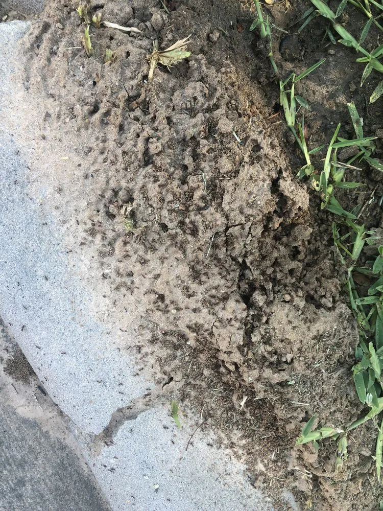 Proper Pest Solutions in Anderson, TX — business photo 5