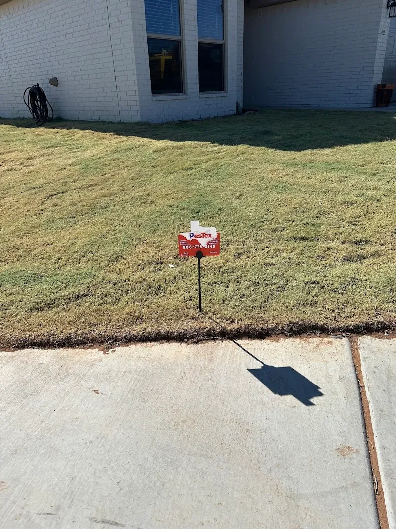 PesTex Pest Control — pest control in Lubbock, LUBBOCK County, TX