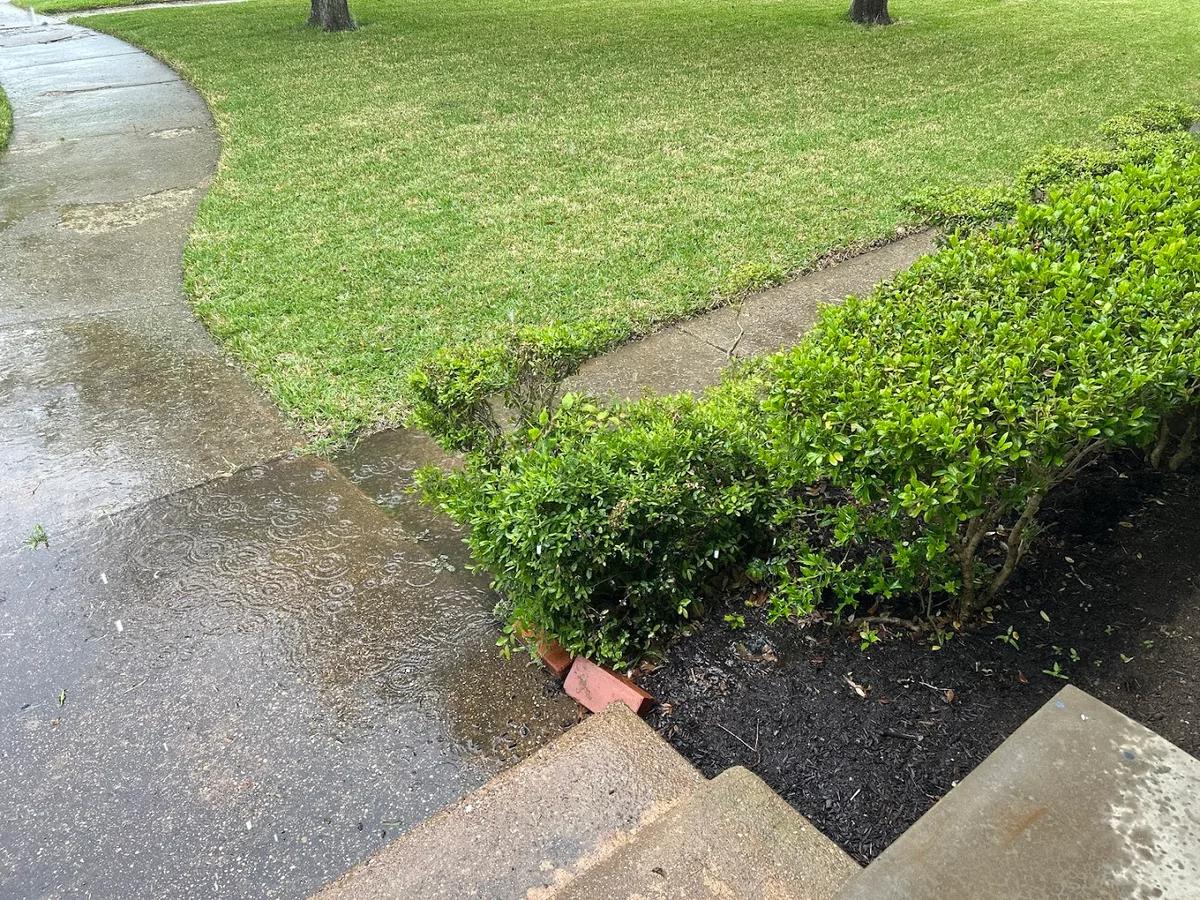 EcoShield Pest Solutions in Plano, TX — business photo 2