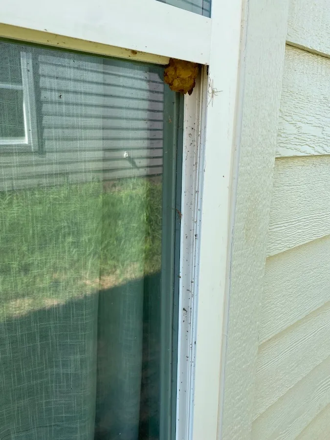 EcoShield Pest Solutions in Plano, TX — business photo 3