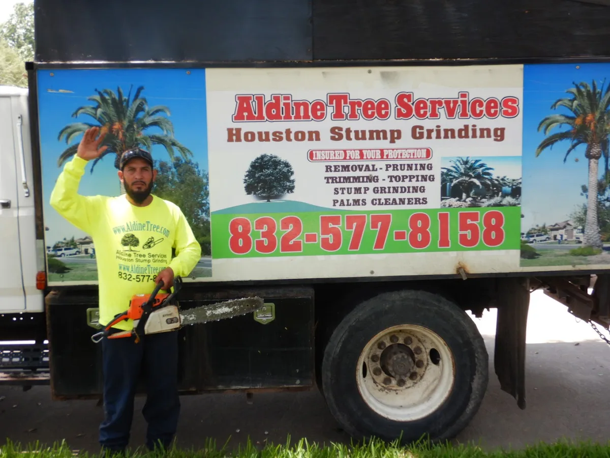 Aldine Tree Services Houston Stump Grinding — pest control in Houston, HARRIS County, TX