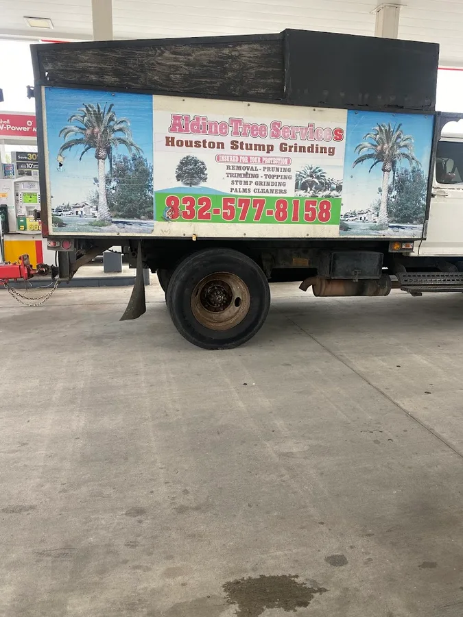 Aldine Tree Services Houston Stump Grinding in Houston, TX — business photo 3