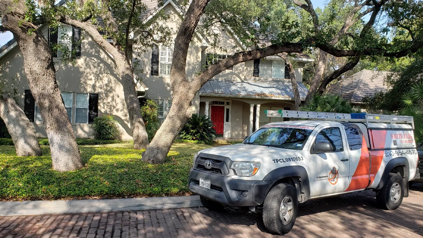 White Flag Pest and Critter — pest control in San Antonio, BEXAR County, TX