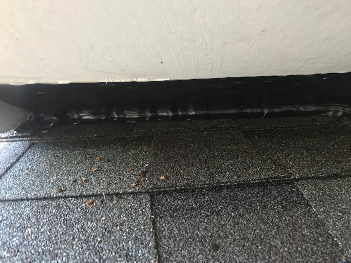 First In Rodent and Pest Services in Dallas, TX — business photo 4
