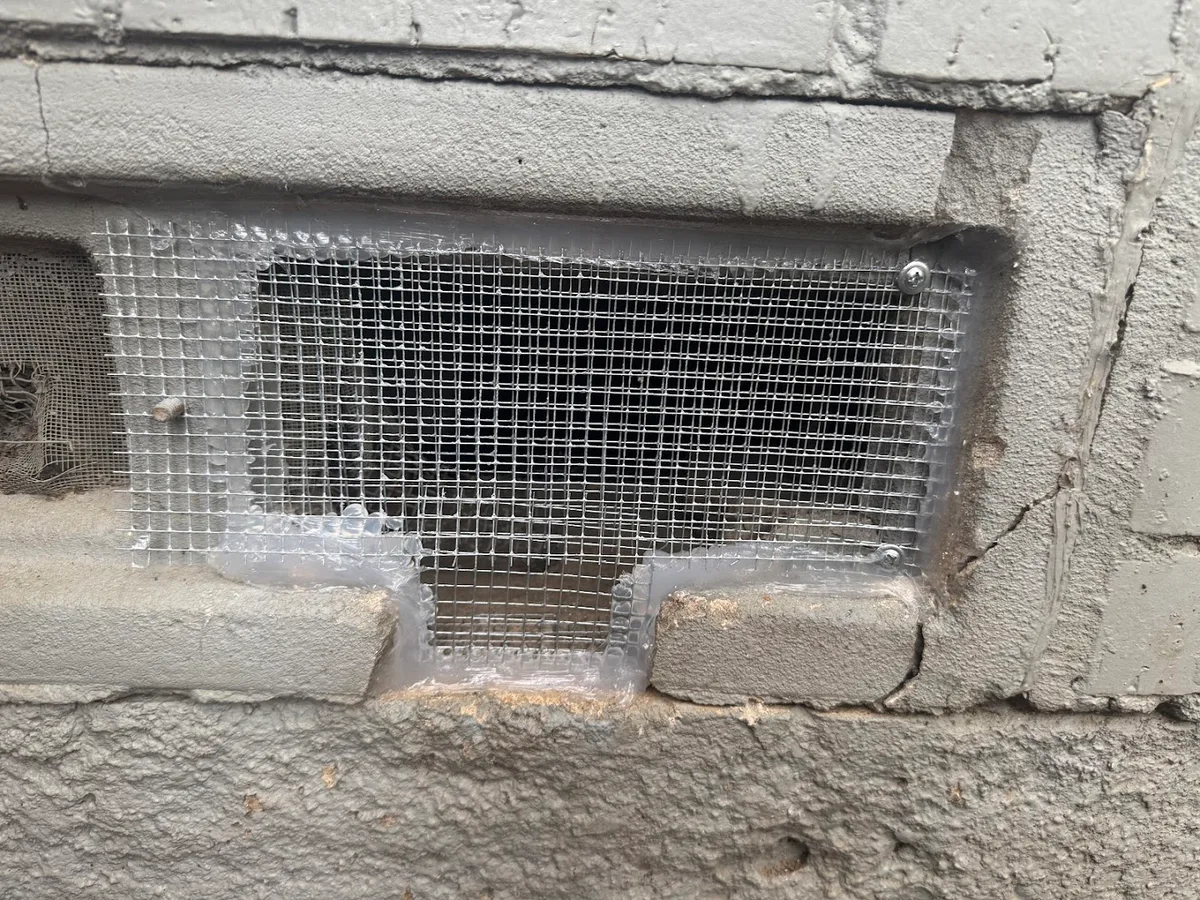 First In Rodent and Pest Services in Dallas, TX — business photo 5