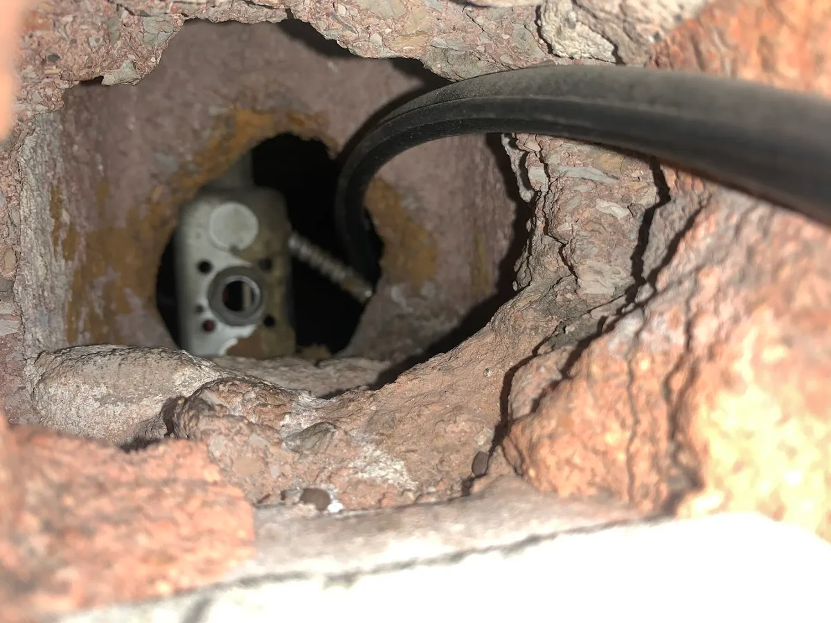 First In Rodent and Pest Services in Dallas, TX — business photo 6
