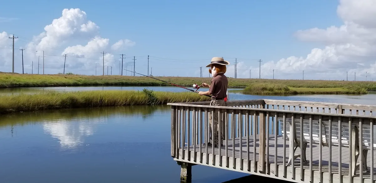 Mosquito Hunters of Corpus Christi in Corpus Christi, TX — business photo 6