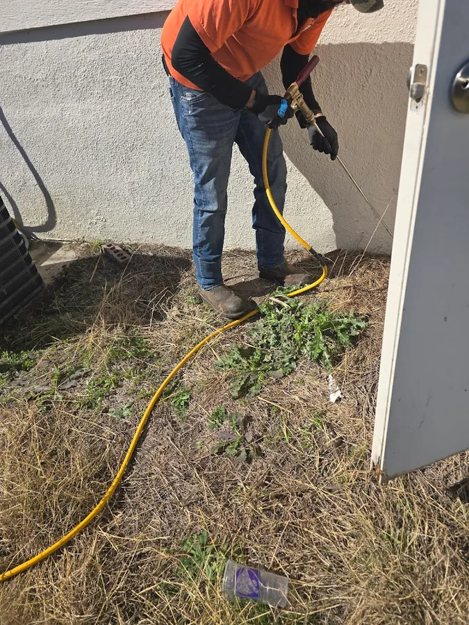 Tornado Pest Control And Pressure Washing Solutions LLC in San Antonio, TX — business photo 4