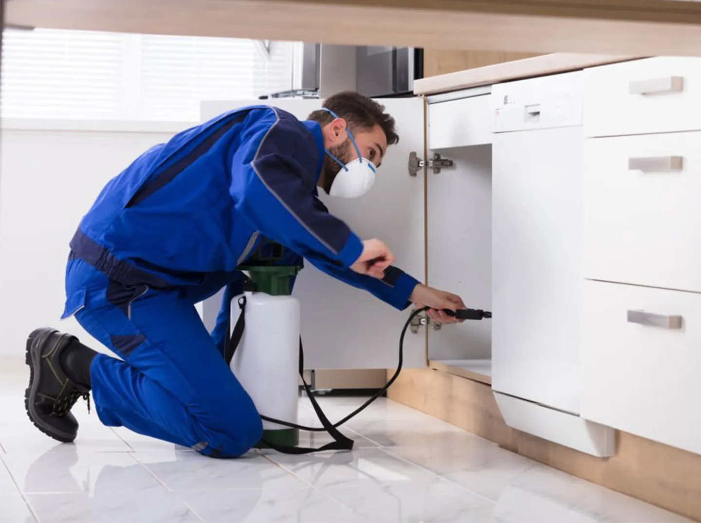 Pest One Pest Control in Fort Worth, TX — business photo 4