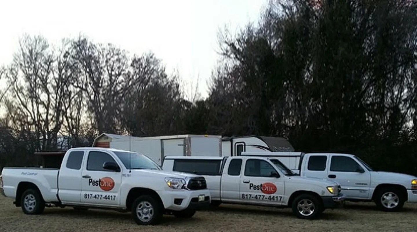 Pest One Pest Control in Fort Worth, TX — business photo 5