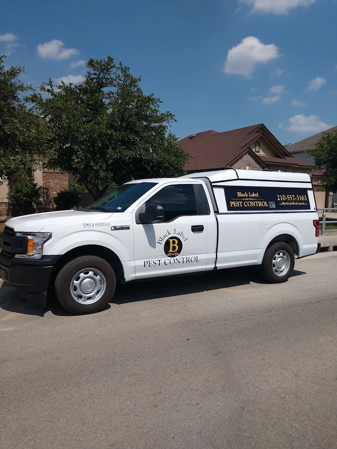 Black label pest control — pest control in San Antonio, BEXAR County, TX