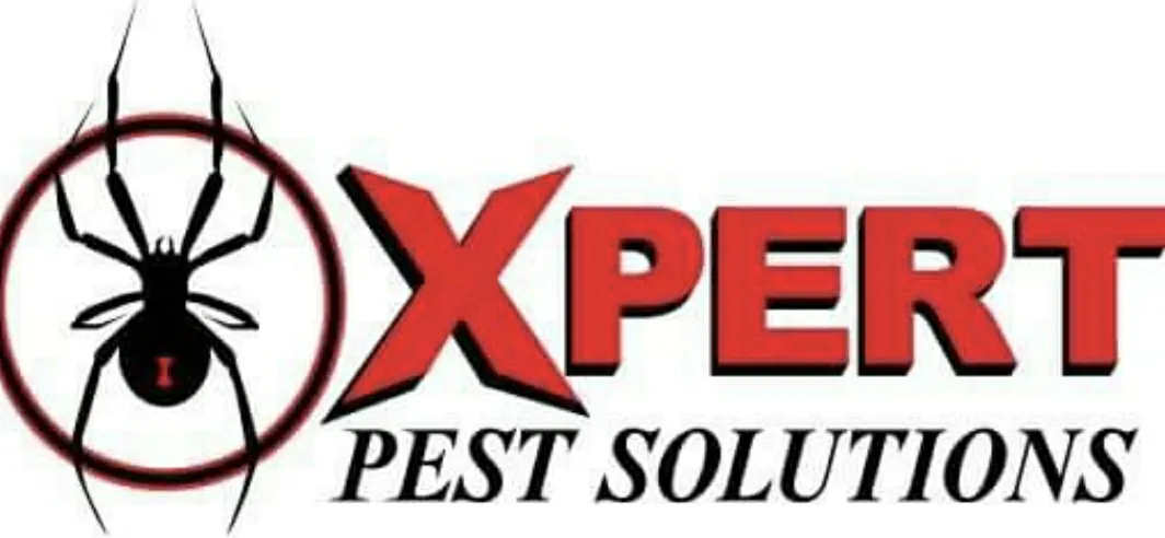 Xpert Pest Solutions in Dallas, TX — business photo 2