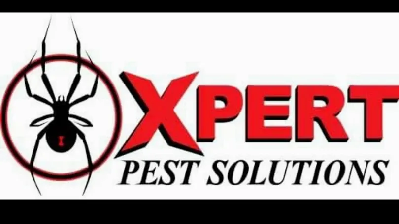Xpert Pest Solutions in Dallas, TX — business photo 3