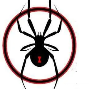 Xpert Pest Solutions in Dallas, TX — business photo 4