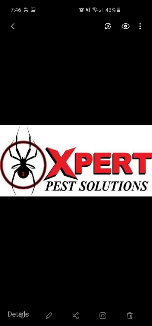 Xpert Pest Solutions in Dallas, TX — business photo 5