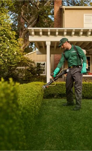 TruGreen Corpus Christi in Corpus Christi, TX — business photo 4