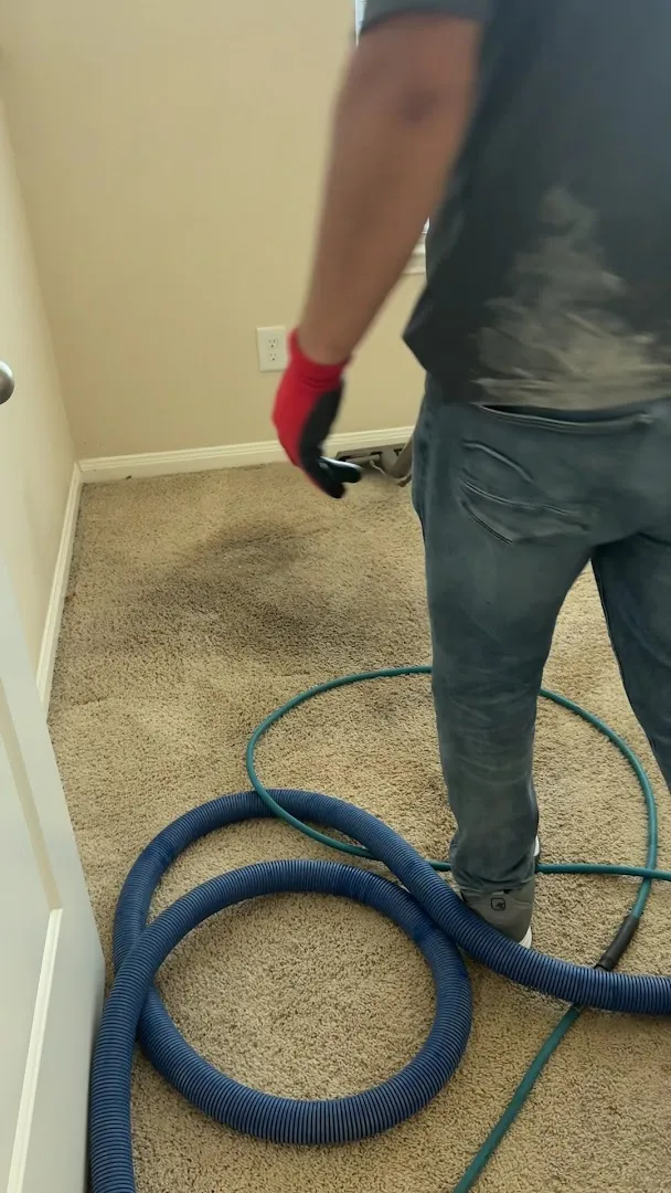 All City Pest & Termite Services — pest control in Houston, HARRIS County, TX