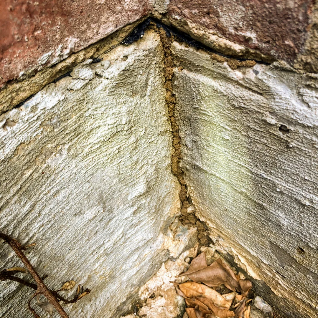 Lonestar Safe Pest in Denton, TX — business photo 4