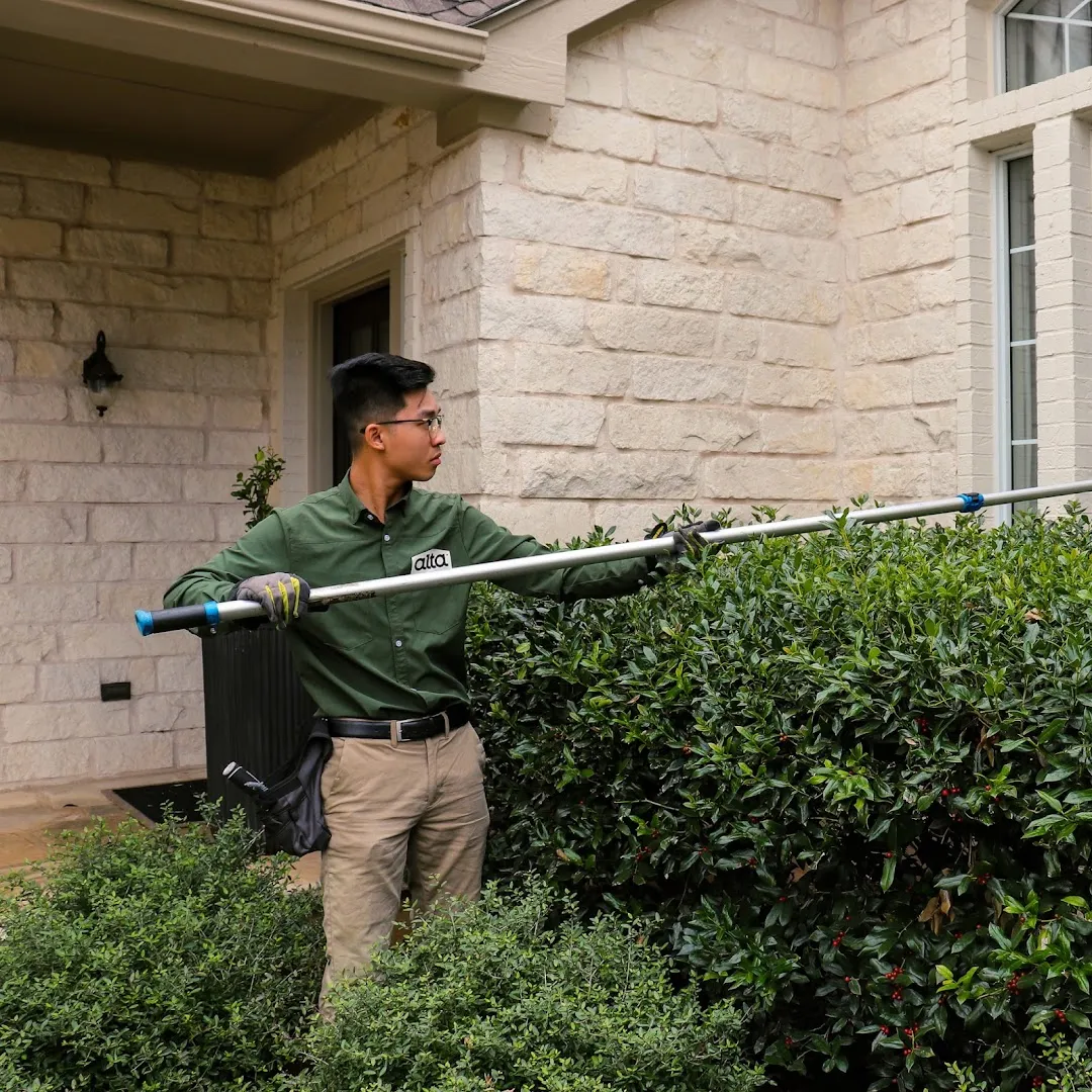 Alta Pest Control — pest control in Austin, TRAVIS County, TX