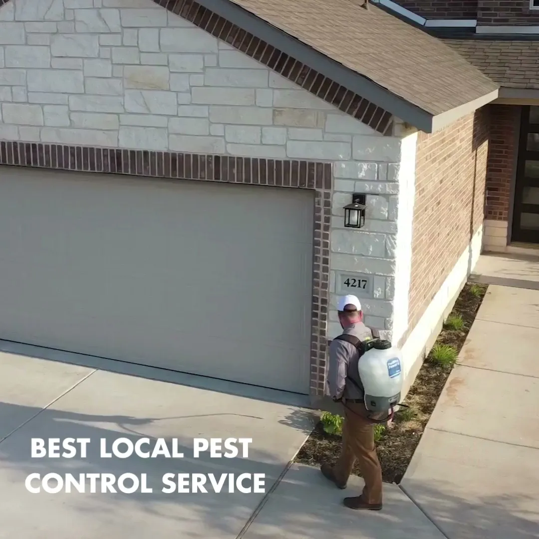 Alta Pest Control in Austin, TX — business photo 3