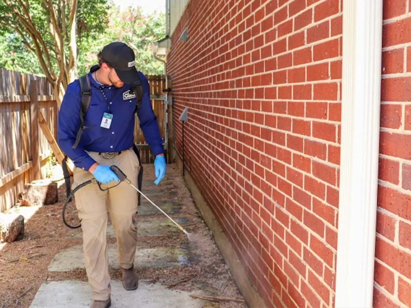 Alta Pest Control in Austin, TX — business photo 5