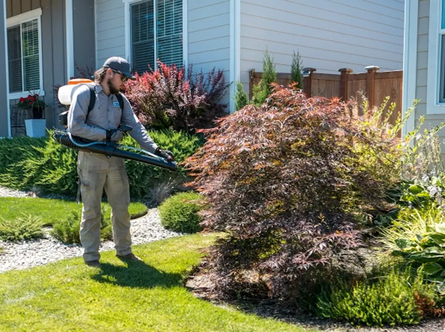 Alta Pest Control in Austin, TX — business photo 6