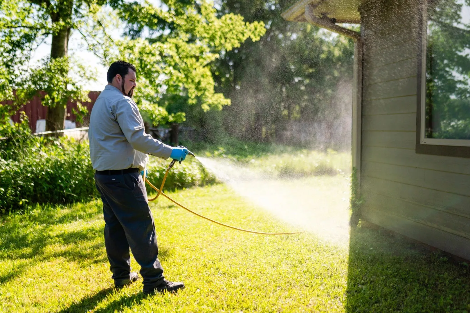 Innovative Pest Control in Tyler, TX — business photo 5