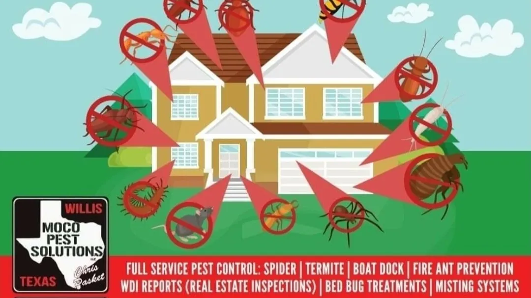 MOCO Pest Solutions in Conroe, TX — business photo 6