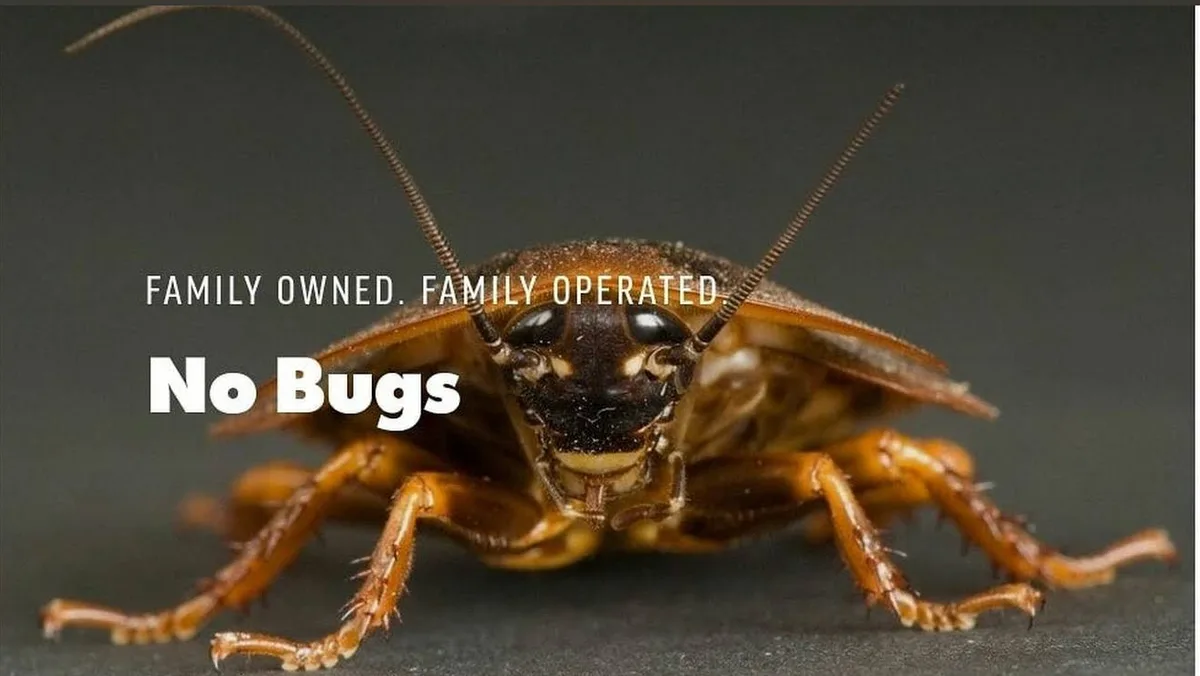 No Bugs — pest control in Spring, HARRIS County, TX