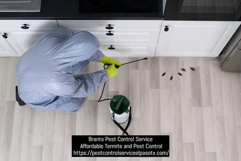 Brants Pest Control Service — pest control in El Paso, EL PASO County, TX