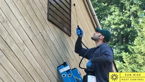 Sun Rise Pest Control — pest control in Brownsville, CAMERON County, TX
