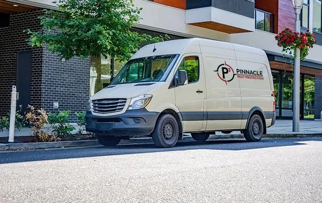 Pinnacle Pest Protection - Fort Worth in Fort Worth, TX — business photo 4